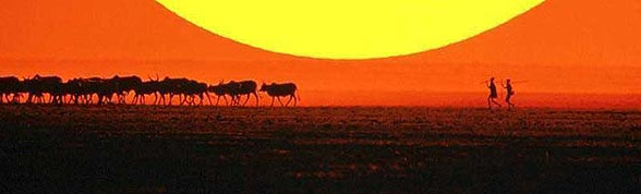 Reiser til Botswana