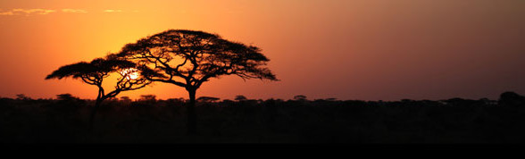 Reiser til Tanzania
