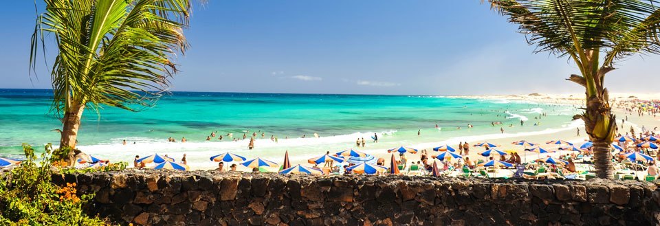 En solfylt strandpromenade med badende mennesker, fargerike parasoller og en palmeblad i forgrunnen.