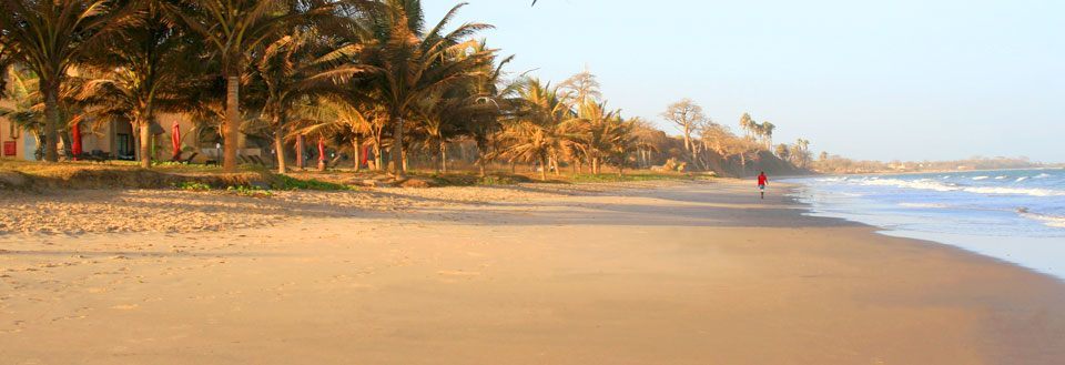 En fredfull strand med palmer og en person som går ved vannkanten under en klar himmel.