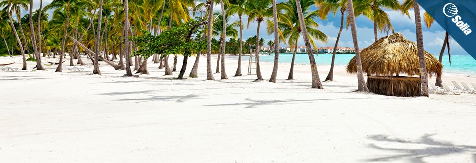 En hvit sandstrand med palmetrær, solsenger og en stråhytte under en klar blå himmel.