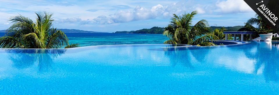 Et infinity-basseng med klart blått vann foran en tropisk strand med palmer og havutsikt.