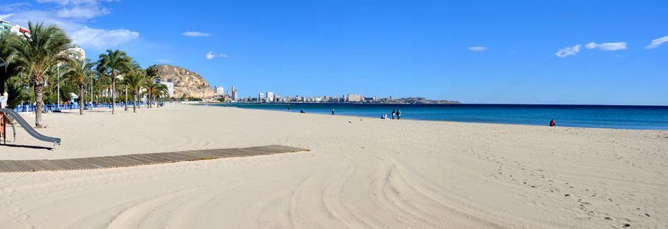 Vid sandstrand med palmer og utsikt over en kystby under en klar blå himmel.