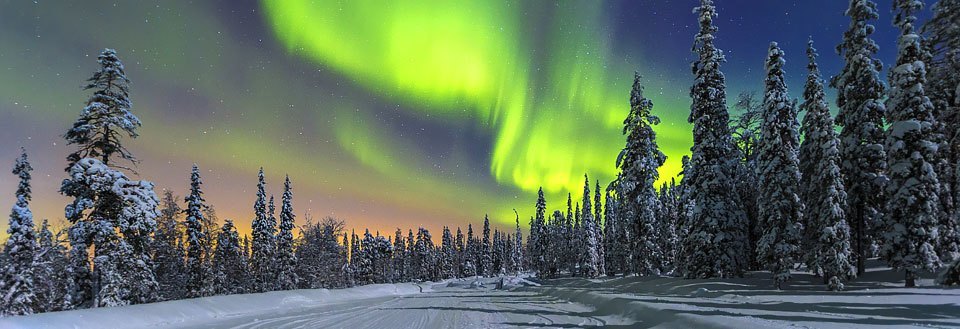 Et vinterlig landskap om natten med nordlys som danser over snødekte trær og en snødekt vei.
