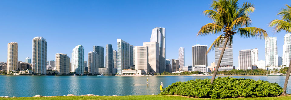 Moderne bysilhuett med skyskrapere og palmer langs vannkanten under en klar blå himmel.