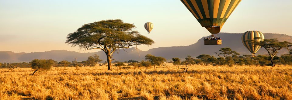 Tre varmluftsballonger som svever over en savanne med spredte akasietrær og gyllent gress i solnedgangslyset.