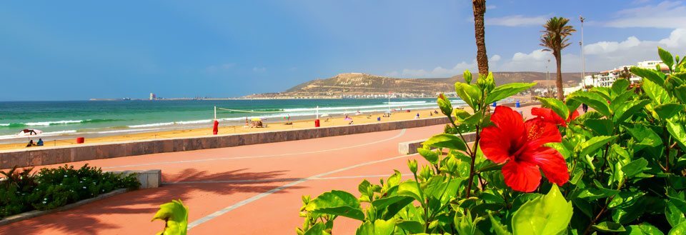 En solrik strandpromenade med personer som nyter været, sandstranden og utsikten over havet, omgitt av palmer og fargerike blomster.