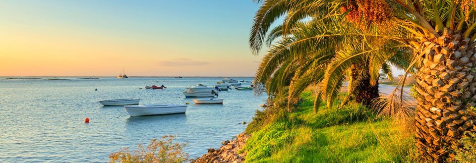 Fredelig kyststripe med små båter, krystallklart vann og en palmealle ved solnedgang.