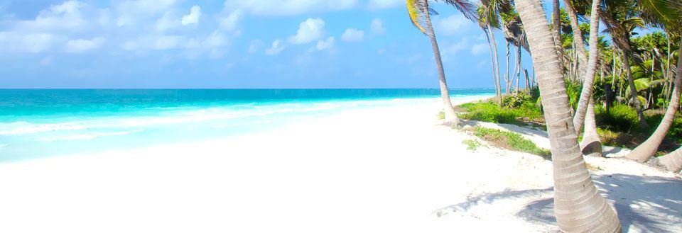 Fredfull strand med hvit sand, asurblått hav og frodige palmer under solrik blå himmel.