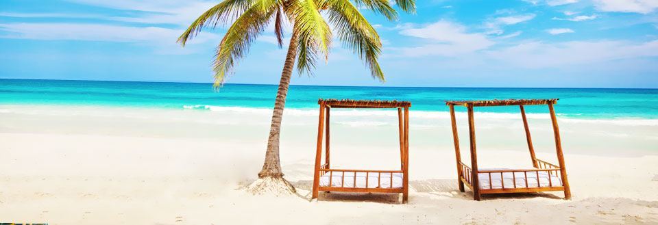Tropisk strand med krystallklart blått vann og to trehengekøyer under en palme.