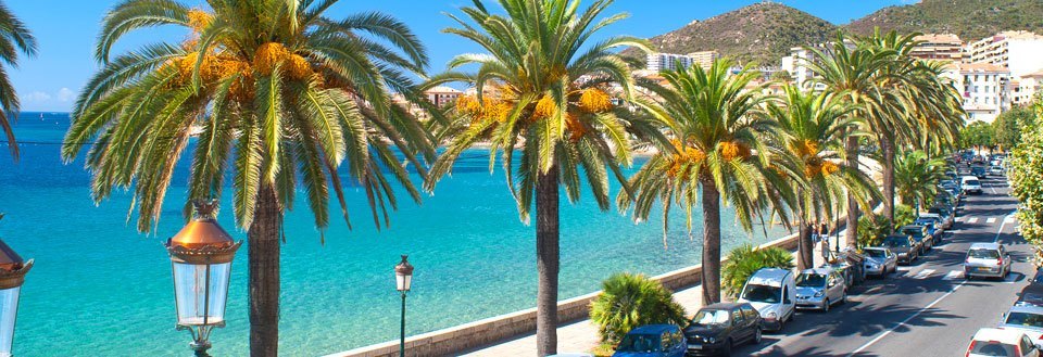 Solrik strandpromenade med palmer og utsikt over det asurblå havet.