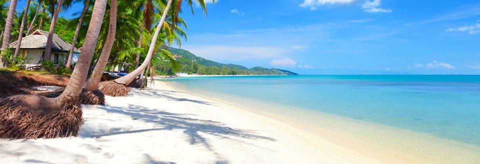 Fredelig strand med palmer, hvit sand og hav under en klar himmel.