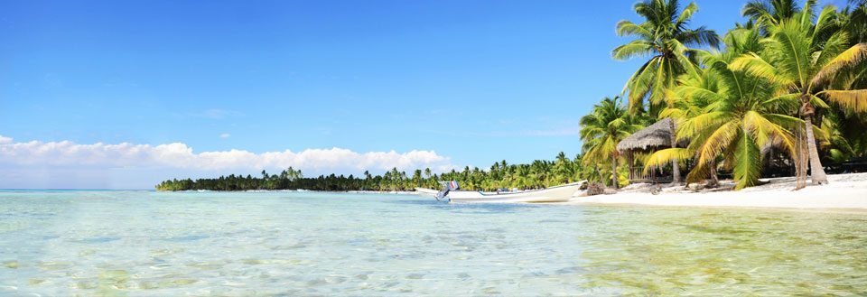 Tropisk strand med klart vann, palmer, og en badehytte mot en klar blå himmel.