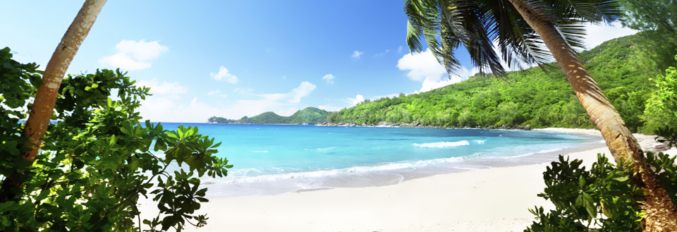 Et idyllisk strandbilde med krystallklart turkis hav, hvit sand og frodig grønn vegetasjon.