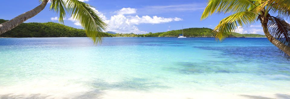 Tropisk strand med palmesus, krystallklart blått vann og en fredfull blå himmel.