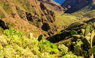 Charterreiser til La Gomera