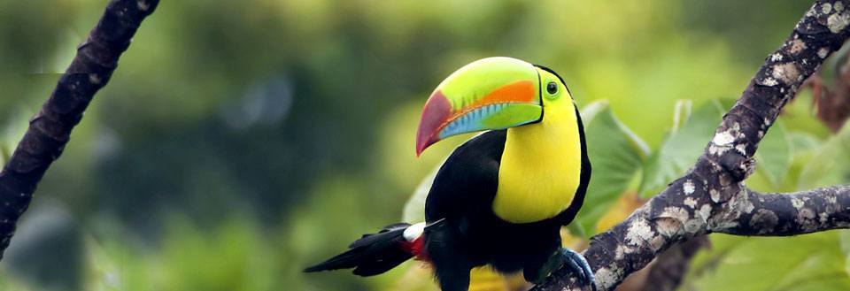 Reiser til Costa Rica