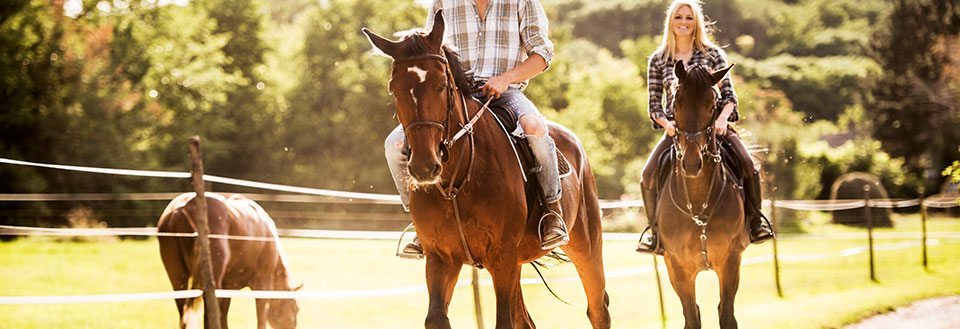 Reisebyråer med reiser til Rideferie