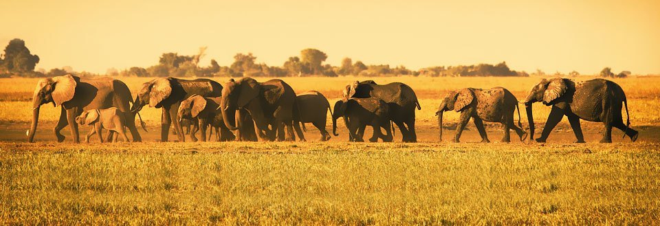 Severdigheter Botswana