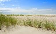 Storbyferie til Danmark